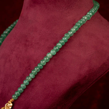 Aakriti Long Necklace & Earrings Set