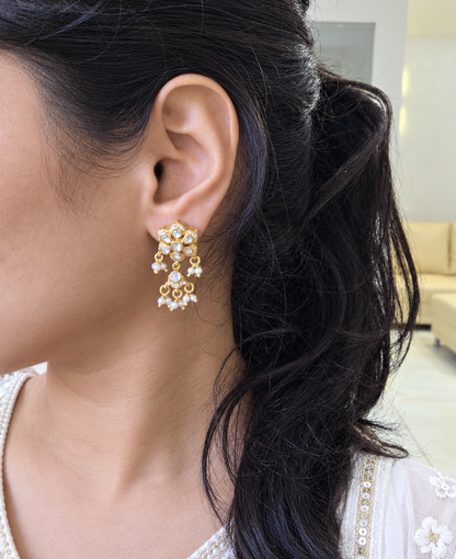 Ritvi Moissanite Earrings